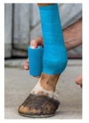 Axis Support Bandage