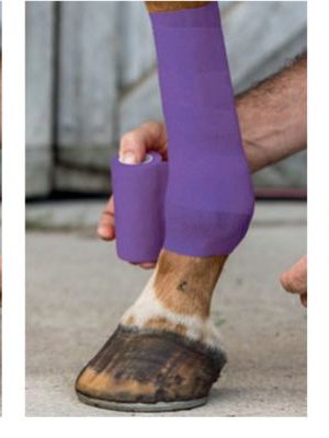 Axis Support Bandage