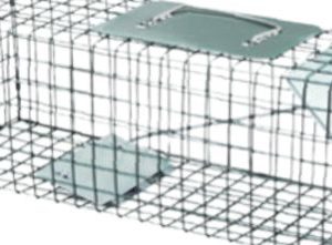 Live Animal Trap 18" x 6" x 6"