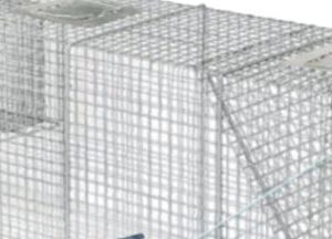 Live Animal Trap