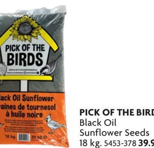 Black Oil Sunflower Seed