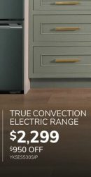 TRUE CONVECTION ELECTRIC RANGE