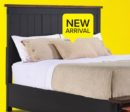 Stormy Ridge 3 - Piece Queen Storage Bed - Slate Black, Chicory