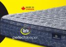 Thrive Medium Queen Mattress