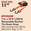 1 in. x 10 ft 1,200 lb Retractable Ratchet Tie-Down Strap