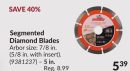 5 in. Segmented Diamond Blades