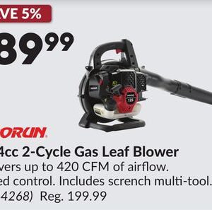 25.4cc 2-Cycle Gas Leaf Blower