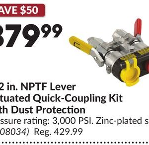 Pioneer 1/2 in. NPTF Lever Actuated Quick-Coupling Kit with Dust Protection