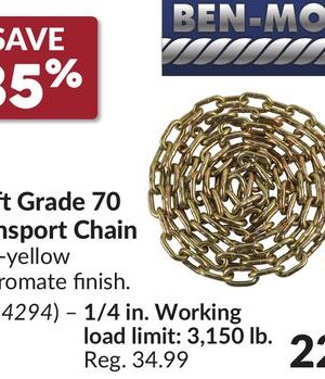 10 ftGrade 70 Transport Chain
