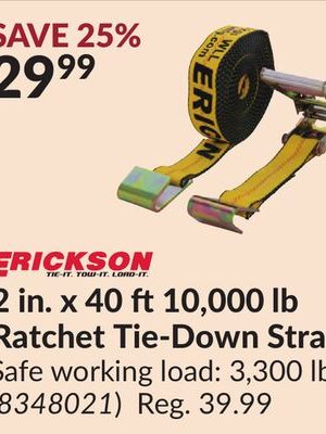 2 in. x 40 ft10,000 lb Ratchet Tie-Down Strap