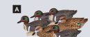 Decoy Sets 6 pc Green-Winged Teal Duck Floater