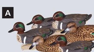 Decoy Sets 6 pc Green-Winged Teal Duck Floater