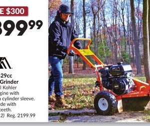 12 in. 429cc Stump Grinder