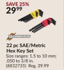 22 pc SAE/Metric Hex Key Set