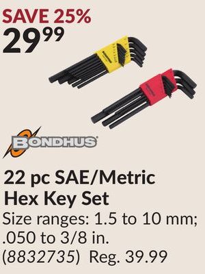 22 pc SAE/Metric Hex Key Set