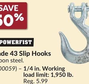 1/4 in. Working Grade 43 Slip Hooks