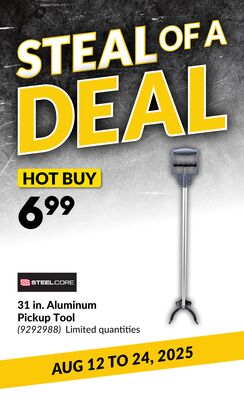 31 in. Aluminum Pickup Tool