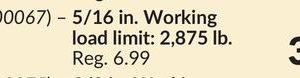 5/16 in. Working load limit: 2,875 lb. Grade 43 Slip Hooks