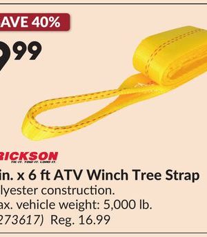 2 in. x 6 ftATV Winch Tree Strap