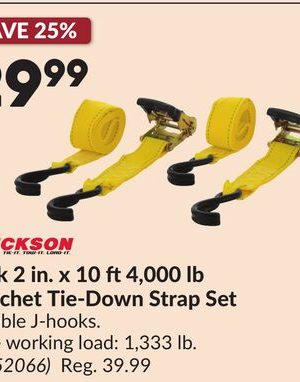 2 pk 2 in. x 10 ft 4,000 lb Ratchet Tie-Down Strap Set