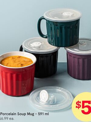 Solid Porcelain Soup Mug