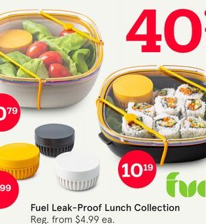 Fuel Leak-Proof Lunch Collection