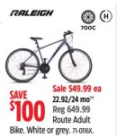 Route Adult Bike White or grey