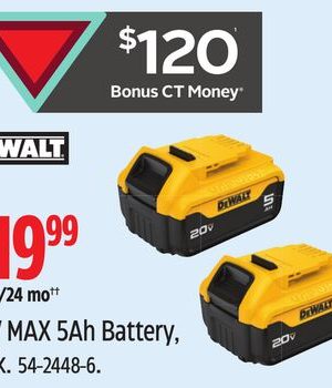 DEWALT 20V MAX 5Ah Battery, 2-Pk