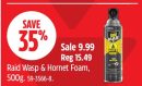 Raid Wasp & Hornet Foam