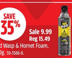 Raid Wasp & Hornet Foam