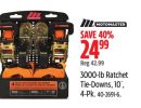 Motomaster 3000-lb Ratchet Tie-Downs