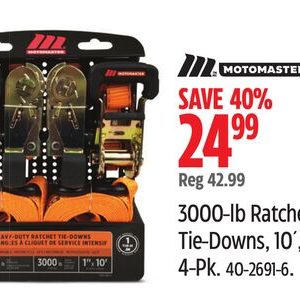 Motomaster 3000-lb Ratchet Tie-Downs