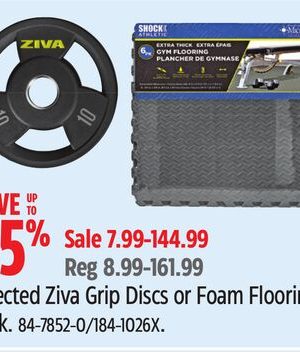 Shock Selected Ziva Grip Discs or Foam Flooring, 6-Pk.