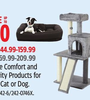 Home Comfort and Activity Products for Your Cat or Dog