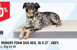 PETCO MEMORY FOAM DOG BED