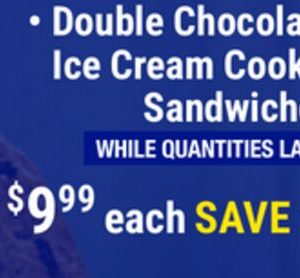 Double Chocolate Ice Cream Cookie Sandwiches