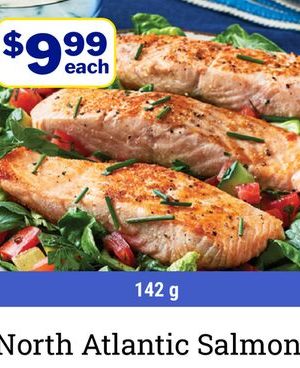 North Atlantic Salmon