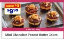 Mini Chocolate Peanut Butter Cakes