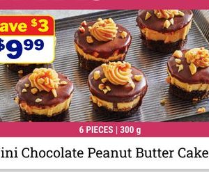 Mini Chocolate Peanut Butter Cakes