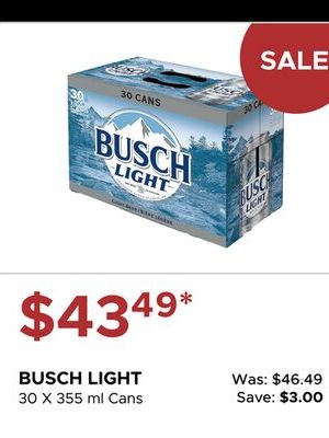 BUSCH LIGHT