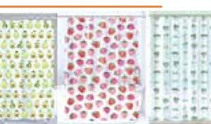 CO-ORDINATING SHOWER CURTAINS