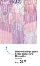 Luminous Plastic Fringe Scene Setter Background Decoration Purple/Silver, 48-in, for Birthday Party