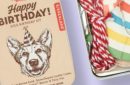 "Happy Birthday" Dog Treat Recipe Book, Cookie Cutter, Banner & Party Hat, Multi-Coloured, 4-in, 4-pk, for Birthday Party