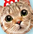 Cat Paper Disposable Dessert Plates, Brown/Red, 6.5-in, 8-pk, for Birthday Party