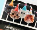 Cat Party Cats in Party Hats Wax Candles, Multi-Coloured, 1.4-in, 5-pk, for Birthday Party