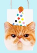Cat Party Rectangle Paper Party Treat Bags, White/Orange, 7.5-in, 4-pk, for Birthday Party