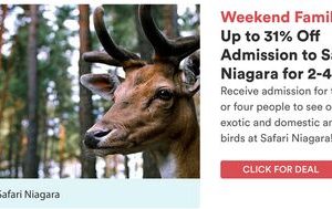 Up to 31% Off Admission to Safari Niagara for 2-4 People