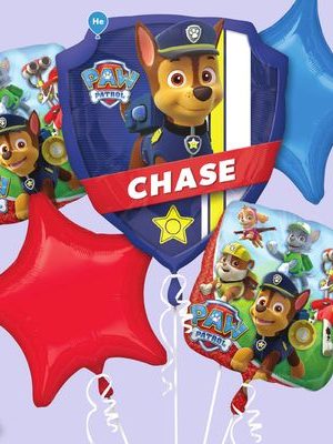 PAW Patrol Satin Foil Balloon Bouquet, 5-pc