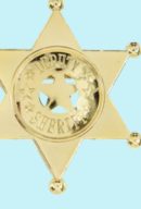 Amscan Western "Deputy Sheriff" Police Badges, Gold, One Size, 8-pk, Wearable Costume Accessories for Halloween/Cowboy/Cowgirl/Western Party