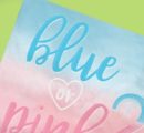 Square Paper Disposable Lunch Napkins, Blue/Pink, 6.5-in, 16-pk, 2-ply, for Gender Reveal